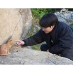 Eiji Akaso Instagram - にゃんこin Korea🥳 続きはEAWDで