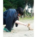 Eiji Akaso Instagram - にゃんこin Korea🥳 続きはEAWDで