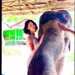 Eiza González Instagram - This was beyond magical 💘🐘 Went to meet these majestic beings at a sanctuary where they heal and rehab them to return them to their environment.🫶🏼It’s hard to believe we coexist with such creatures, we are so lucky to be able to. I swear we aren’t worthy of them It’s moments like these that make me the absolute happiest. I was beaming!🥹🫶🏼🙏🏼❤️🌺