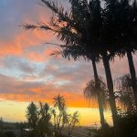 Eiza González Instagram - Kia Ora New Zealand. Making our film here has been one of the most special experiences of my life. The mana of this land is transformative. I love getting lost in it. 🤍 I can’t believe we are nearing the end. I will miss you Auckland