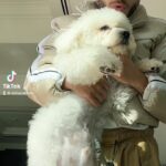 Eldar Dzharakhov Instagram - Съездил в КОМАНДИРОВКУ))) в Дубайскую область. Снял 4 подкаста, скоро возвращаемся на ютуб на еженедельной основе. Ставьте лайки, подписывайтесь на анал Dubai, UAE
