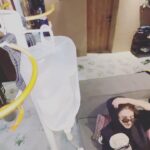 Eldar Dzharakhov Instagram - Что за трек в конце играет???