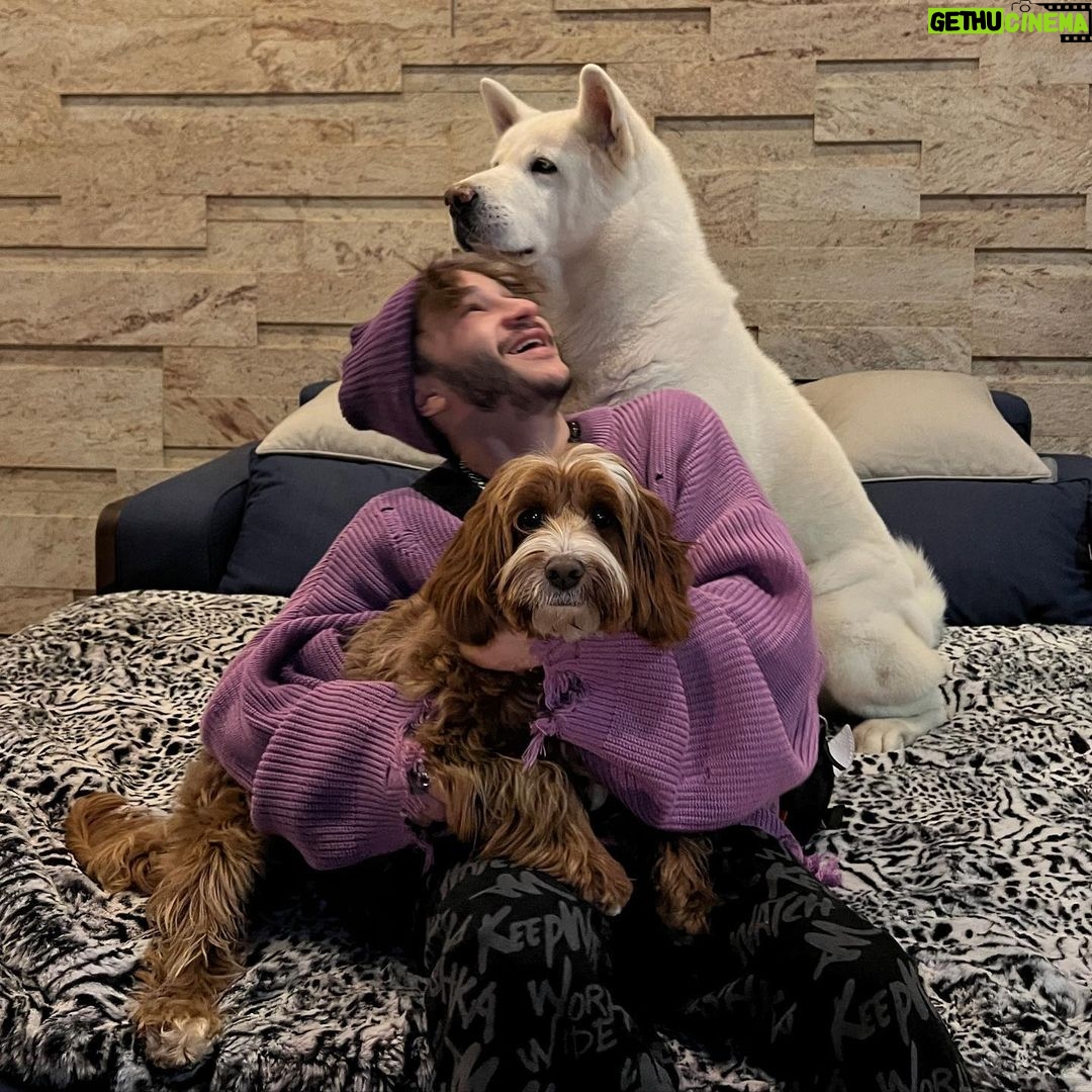 Eldar Dzharakhov Instagram - ПЕС Собака-погуляка