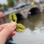 Eldar Dzharakhov Instagram - Это все, что я снял за неделю в Варшаве и Амстердаме. Но было заебись ❤️ Европа