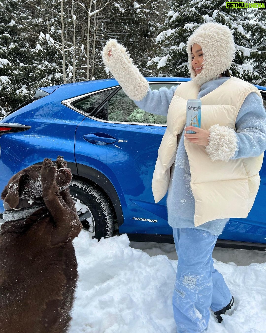Elena Temnikova Instagram - Когда днем на улице уже темно, а нужно еще успеть на съемку, энергии нет совсем. Просто ни капельки. А до Нового года еще очень много дел. Меня круто спасают энергетики, но в них обычно много сахара. А я в последнее время очень слежу за этим. Но тут мне подсказали классный вариант - делюсь с вами. Новинка Adrenaline Rush Zero Sugar от @ad_rush вообще не содержит сахара, а вот концентрация кофеина и таурина здесь такая же, как в классических энергетических напитках. В итоге все ты можешь, но без сахара. Вкусно и сразу просыпаешься. Попробуйте! #всётыможешь