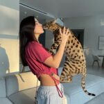 Elena Temnikova Instagram - Нао-шмяо любовь моя❤️‍🩹