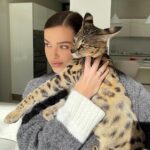 Elena Temnikova Instagram - Ну очень люблю котиков🐾