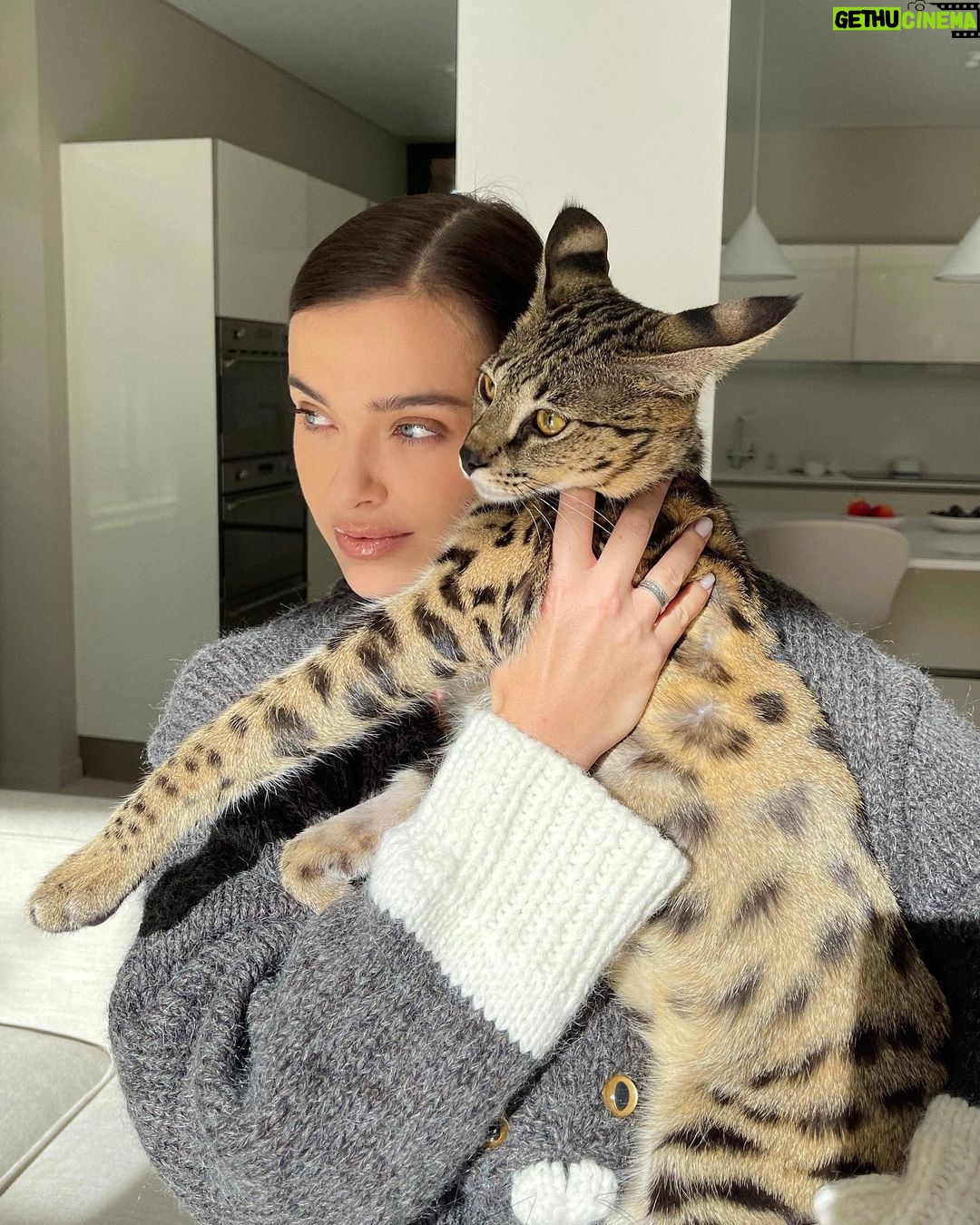 Elena Temnikova - 76.3K Likes - Ну очень люблю котиков🐾