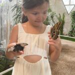 Elena Temnikova Instagram - Летим домой 🦋