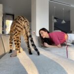 Elena Temnikova Instagram - Нао-шмяо любовь моя❤️‍🩹