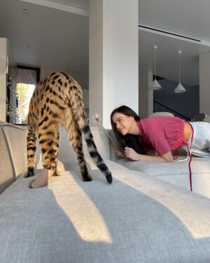 Elena Temnikova Instagram - Нао-шмяо любовь моя❤️‍🩹