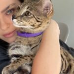 Elena Temnikova Instagram - 🐆