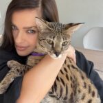 Elena Temnikova Instagram - 🐆