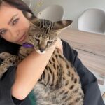Elena Temnikova Instagram - 🐆