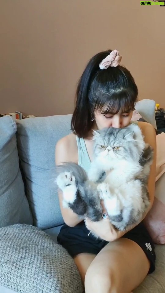 Elizabeth Tan - 61.8K Likes - Korang mcm Lizzy tak suka bau kucing sendiri? 😂