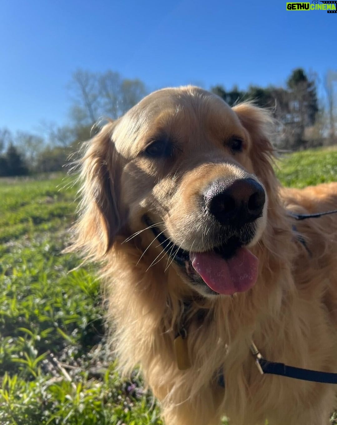Elizabeth Warren Instagram - Spring has arrived at Fresh Pond and so has Bailey