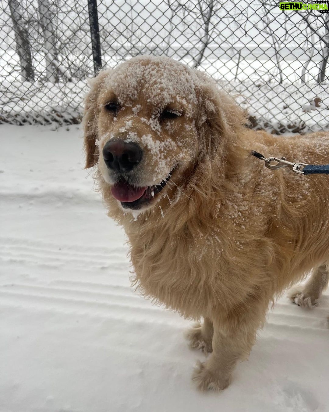 Elizabeth Warren Instagram - Snow day! Stay safe, everyone