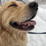 Elizabeth Warren Instagram - We both love the snow