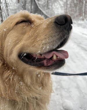 Elizabeth Warren Instagram - We both love the snow
