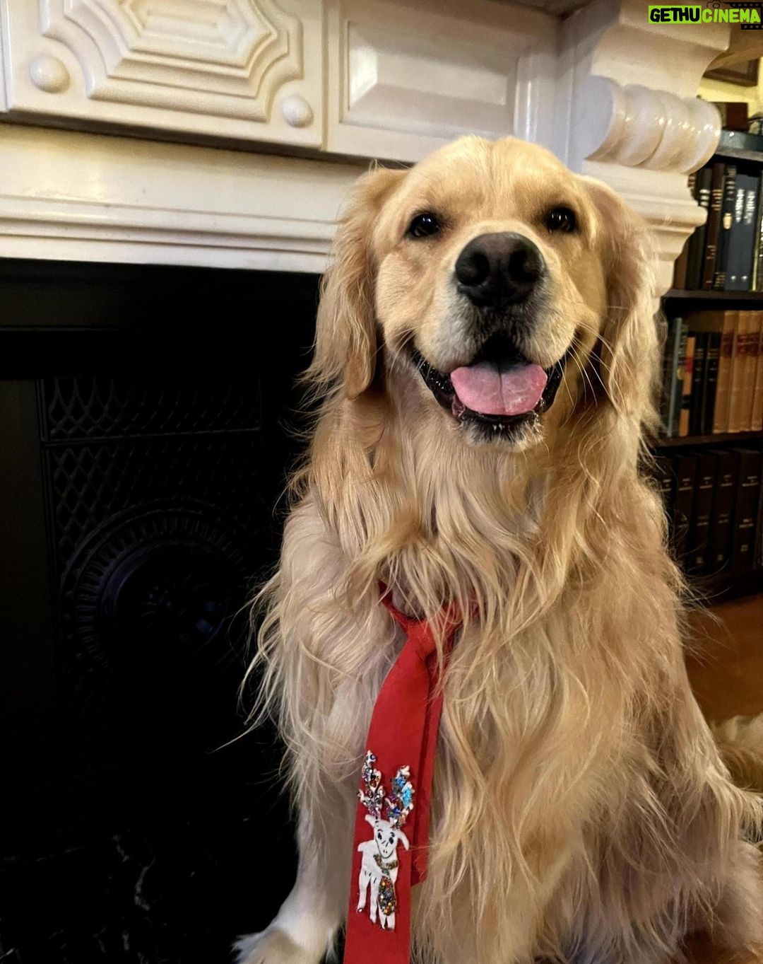 Elizabeth Warren Instagram - From my family to yours, Merry Christmas! Hope you and your loved ones are having a healthy and bright holiday season.