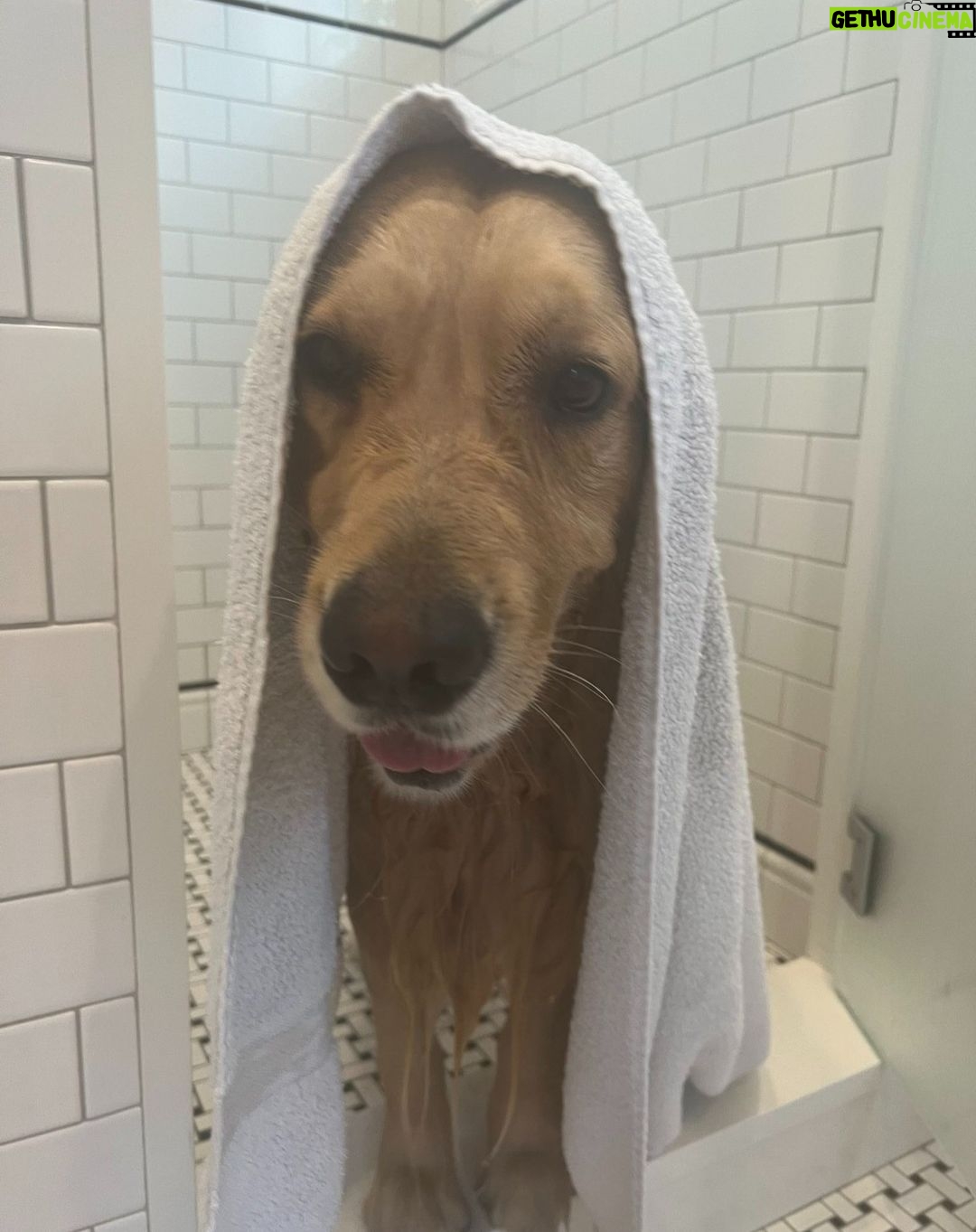 Elizabeth Warren - 57K Likes - I heard that Santa likes clean doggies.