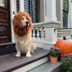 Elizabeth Warren Instagram - Ready for trick-or-treaters