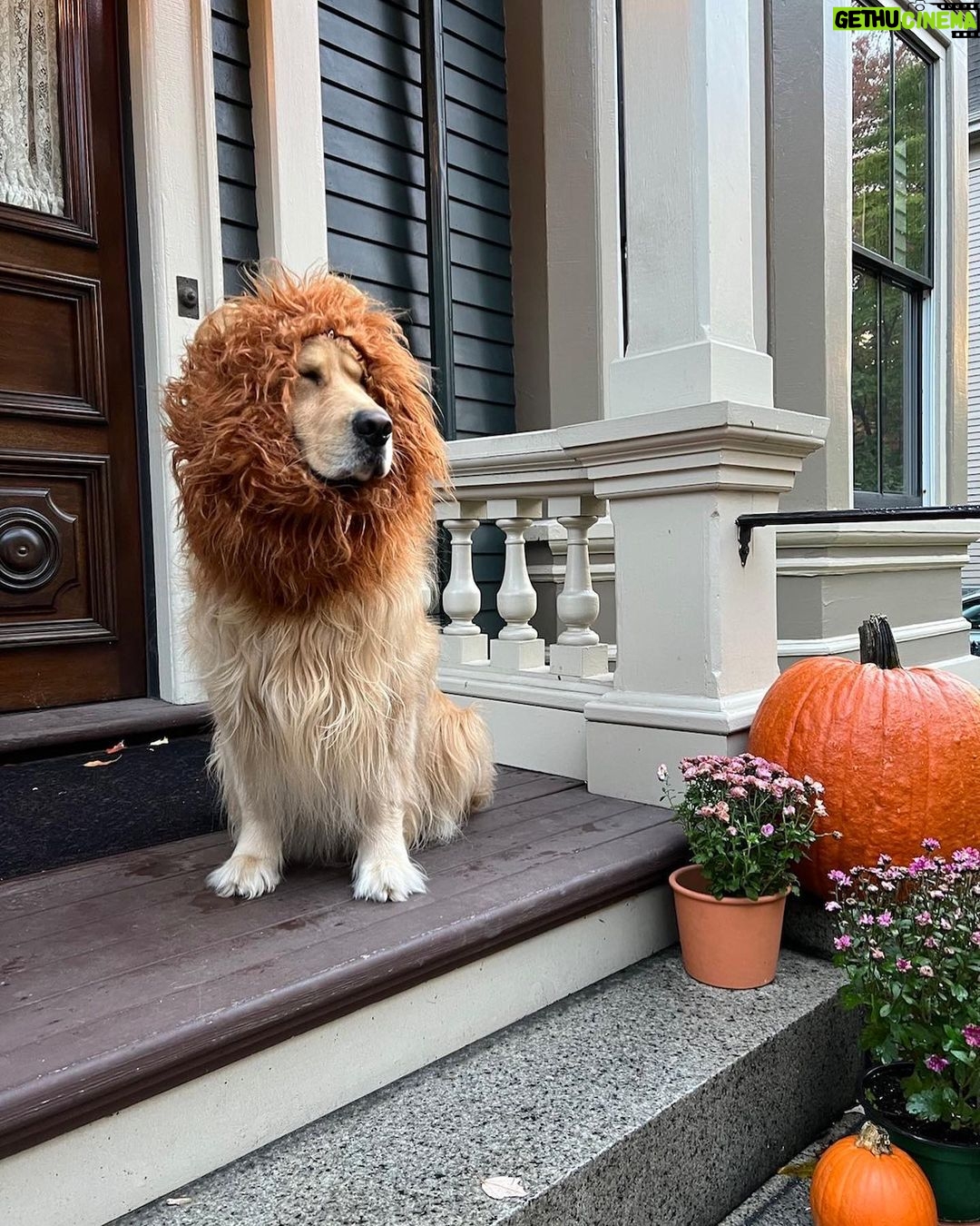 Elizabeth Warren - 71.4K Likes - Ready for trick-or-treaters