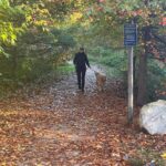 Elizabeth Warren Instagram – A fall morning walk