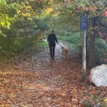 Elizabeth Warren Instagram - A fall morning walk