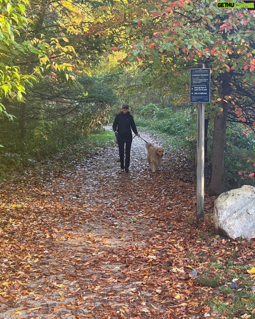 Elizabeth Warren Instagram - A fall morning walk