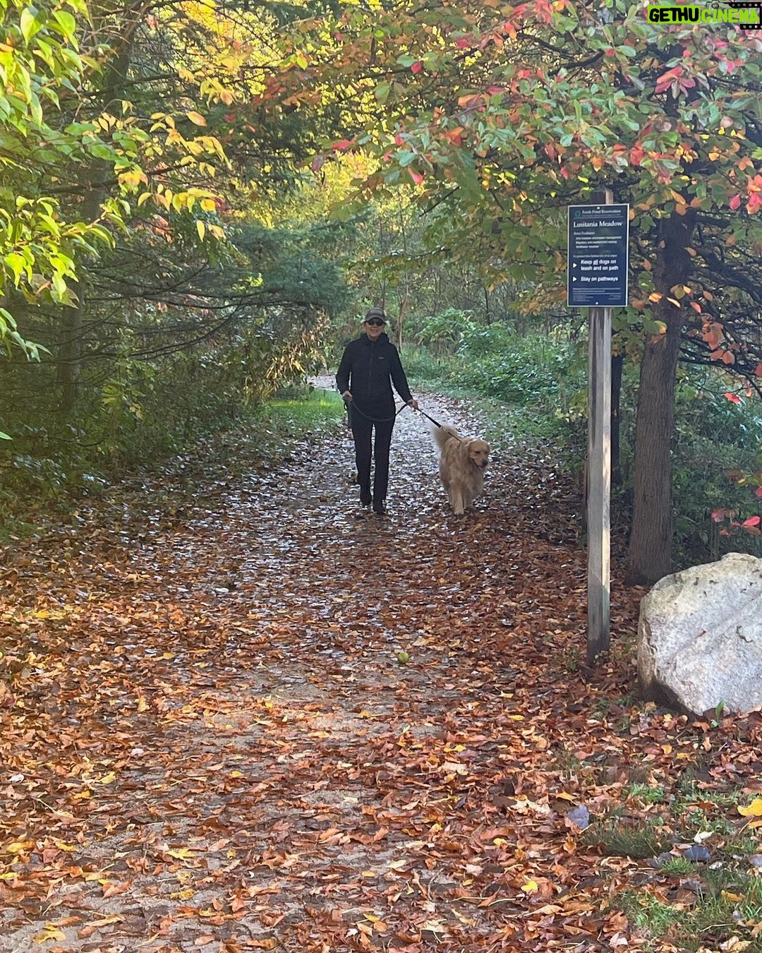 Elizabeth Warren - 58.2K Likes - A fall morning walk