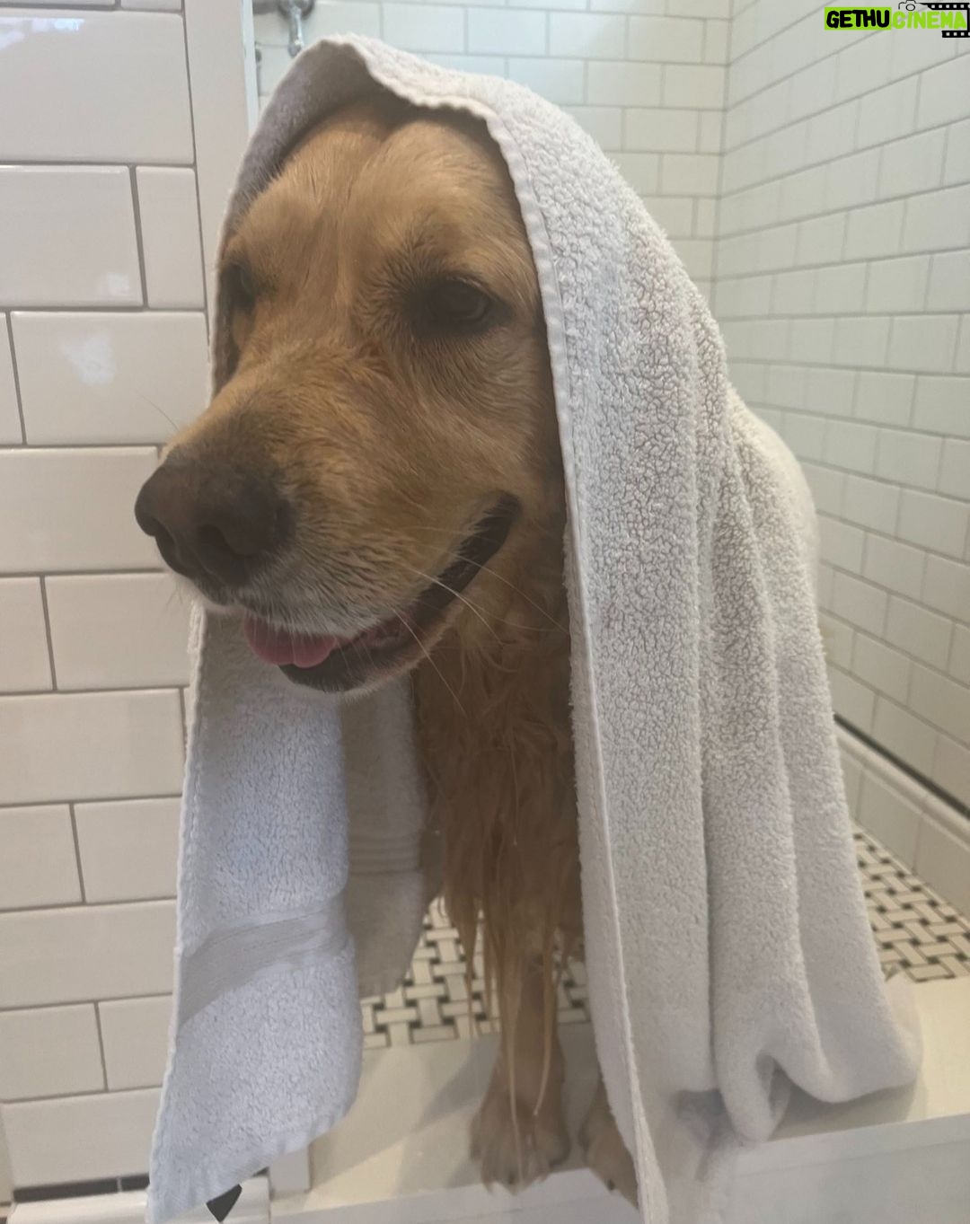 Elizabeth Warren - 57K Likes - I heard that Santa likes clean doggies.