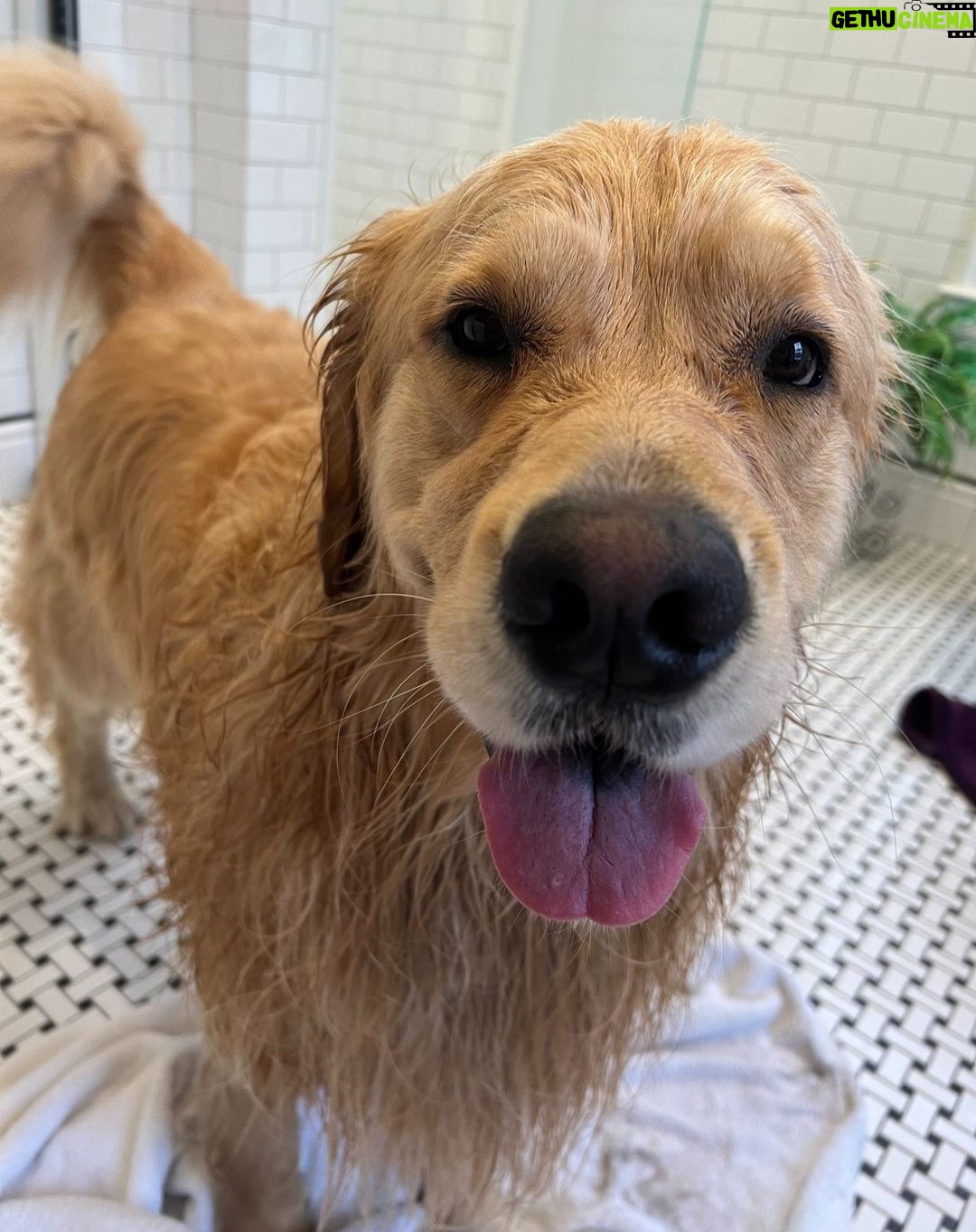 Elizabeth Warren - 57K Likes - I heard that Santa likes clean doggies.