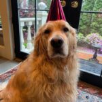 Elizabeth Warren Instagram - The birthday boy gets a burrito