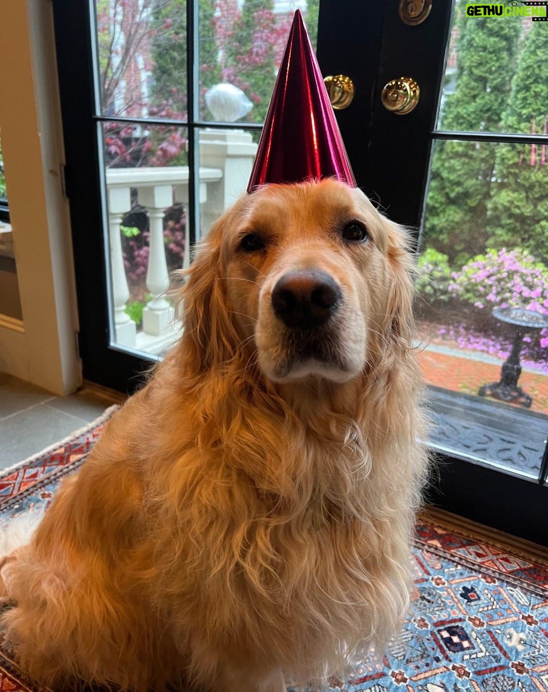 Elizabeth Warren - 54K Likes - The birthday boy gets a burrito