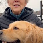 Elizabeth Warren Instagram - Here’s a message from me and Bailey ahead of tonight’s big fundraising deadline. A contribution of any kind will show that our values have strong support—can you pitch in? Click on the link in my bio.