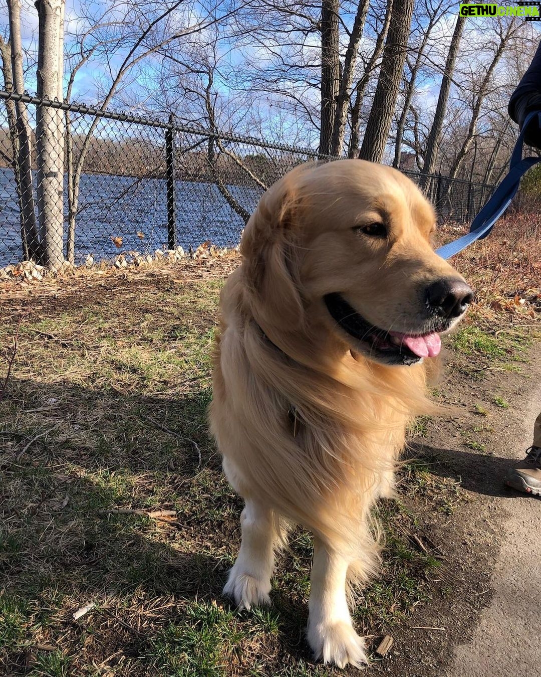 Elizabeth Warren Instagram - Windy Monday.