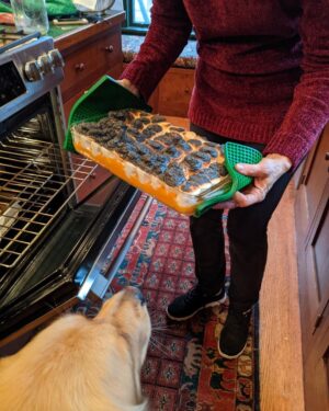 Elizabeth Warren Instagram - Once again, I accidentally set the marshmallow sweet potatoes on fire.
