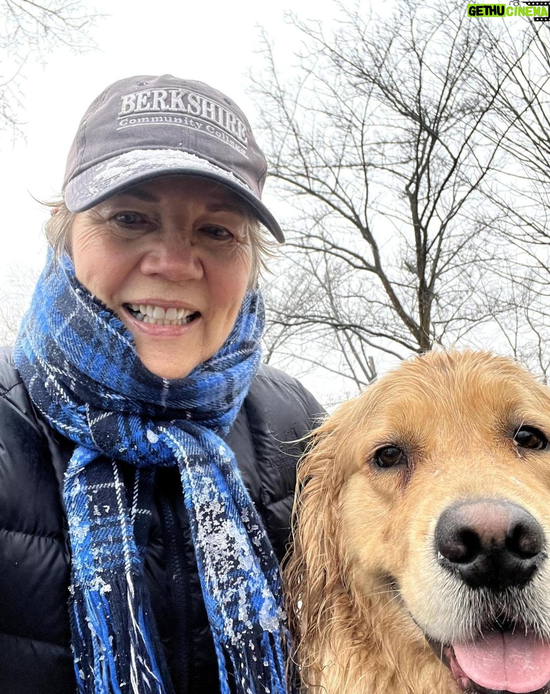 Elizabeth Warren Instagram - Snowy morning