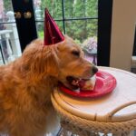 Elizabeth Warren Instagram - The birthday boy gets a burrito