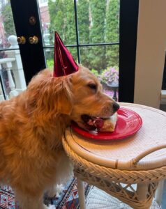 Elizabeth Warren Instagram - The birthday boy gets a burrito