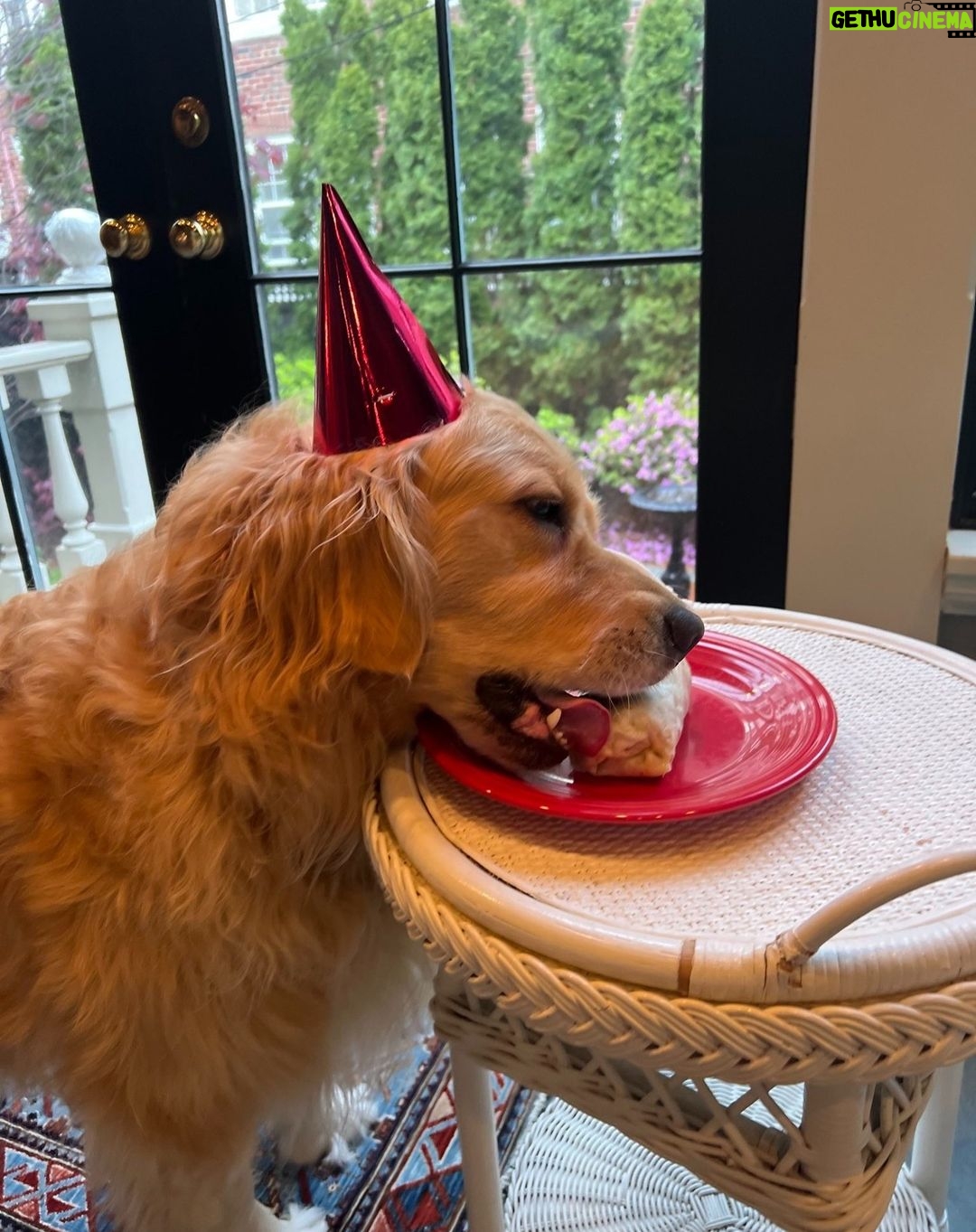 Elizabeth Warren - 54K Likes - The birthday boy gets a burrito