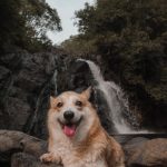 Ella Cruz Instagram - Lubong-Nangoloan Falls adventure kahapon with Dreamy 🤎