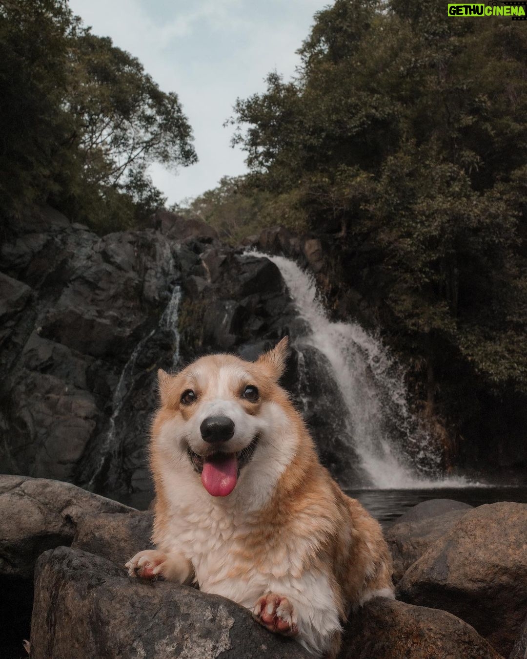 Ella Cruz Instagram - Lubong-Nangoloan Falls adventure kahapon with Dreamy 🤎