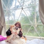 Ella Cruz Instagram - My chuchus ❤️🥰 Happy Christmas from me, Dreamy & Eclipse ✨ Shanti Wellness Sanctuary