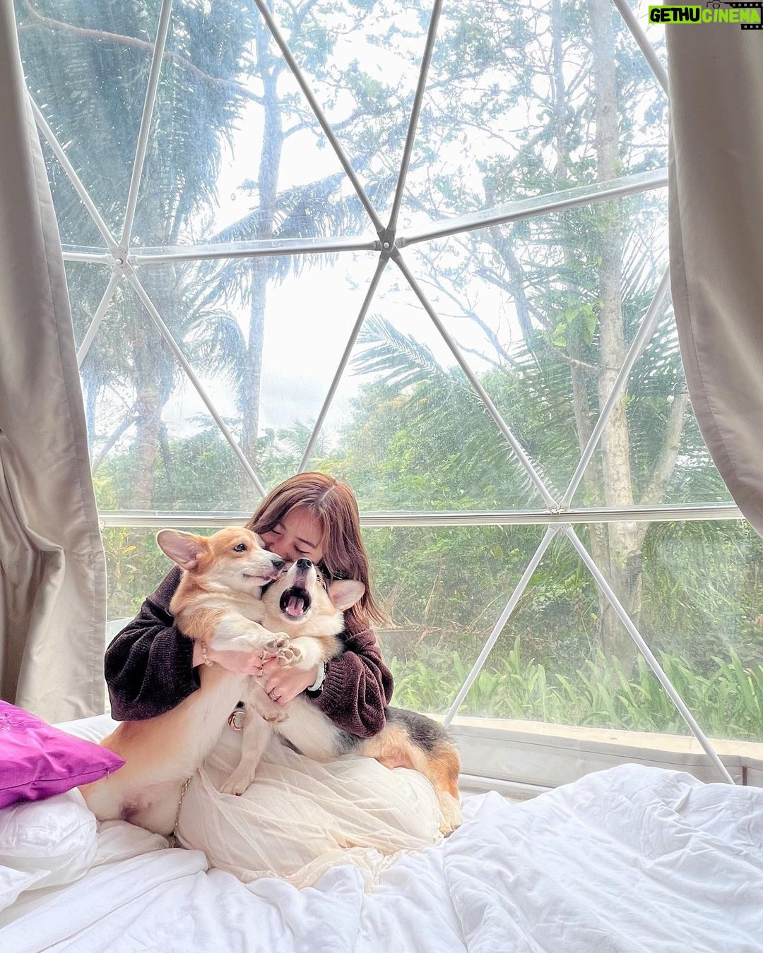 Ella Cruz Instagram - My chuchus ❤️🥰 Happy Christmas from me, Dreamy & Eclipse ✨ Shanti Wellness Sanctuary