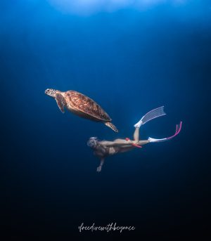 Ella Cruz Instagram - Last turtle dive before the year ends💗

🧜‍♀️ Ella Cruz / @ellacruz 

🎥🎨 Beyonce Just Pacia / @freedivewithbeyonce 

📍Moalboal

#freediving #moalboal #freedivingvideography #moalboalph #mermaid #freedivewithbeyonce #turtle