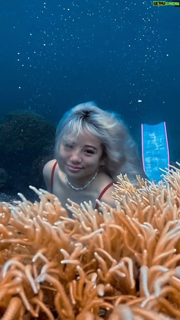 Ella Cruz Instagram - 𝒪𝓊𝓇 𝓅𝓇𝑒𝓉𝓉𝓎 𝐸𝓁𝓁𝒶✨ 🧜‍♀️ Ella Cruz / @ellacruz 🎥🎨 Beyonce Just Pacia / @freedivewithbeyonce Thank you Miss Ella and Sir Julian for choosing to spend your time with us! It was a great opportunity freediving with you po, hope you enjoyed it as much as we did. Sana may next time ulit!!! #freediving #moalboal #freedivingvideography #moalboalph #mermaid #freedivewithbeyonce Moalboal, Cebu