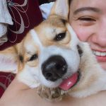 Ella Cruz Instagram - It's been 10 days without you Eclipse ko... At araw-araw pahirap ng pahirap... Gabi gabi ko binubulong sa inyo ni Dreamy na "don't leave me too soon" pero siguro gusto mo na forever na kitang nasa puso at isip ko at mas mabantayan kami dito... Sa pitong buwan na nakasama kita, ang dami mong itinuro sakin, kayo ni Dreamy. Binantayan mo kami na para bang ang laking aso mo at pantay mga legs mo, gabi gabi, tumatabi ka sakin matulog para magbantay pa rin. Sinanay mo kong ikaw ang tigagising ko dahil babanggain mo na yung ilong mo sa mukha ko dahil yun ang way of kissing mo. 🥺 at sa isang araw biglang malaki ang nagbago sa araw araw kong nakasanayan... Araw araw nakikita pa rin kita sa mga sulok na paborito mong pwesto. Naririnig ko pa rin yung kahol mo. Nakikita pa rin kitang tumatakbo dito. Naaalala ko pa rin yung amoy at texture mo ng fur mo. Hinahanap ka pa rin namin nila Dreamy. Yung mga nakagawian natin sa araw araw, nakikita pa rin kitang nakikitakbo dito at tinitignan ako... Sabi nila, let go na para hindi ka na rin malungkot. Pero ang totoo, mahirap talaga dahil gabi gabi tinatawag at hinahanap pa rin kita Eclipse ko... nakikita ko mukha mo sa pwesto mo sa kama ko.. at ang hirap tanggapin na hindi na kita makikita forever. 😣 napakatapang mo Eclipse. Hanggang sa dulo nilabanan mo yung sakit na nararamdaman mo, ni hindi mo nga pinakita sakin. 😖 sobrang tibay ng loob mo🥺 Mahal na mahal kita Eclipse... salamat for being a good baby boy🖤 bantayan mo na kami dito. Lagi mong tatandaan, palagi ka pa rin namin makakasama. Tayong 4 palagi ha? Ikaw-pajungjung, si chuchu(Dreamy), mommy & daddy chuchu🤍 di ka namin makakalimutan 🥺 thank you sa sobra sobrang pagmamahal mo samin lahat dito. Thank you ako pinili mo. Sana pagbalik mo, ako pa rin piliin mo, hahanapin kita. I love you Eclipse pogi😣