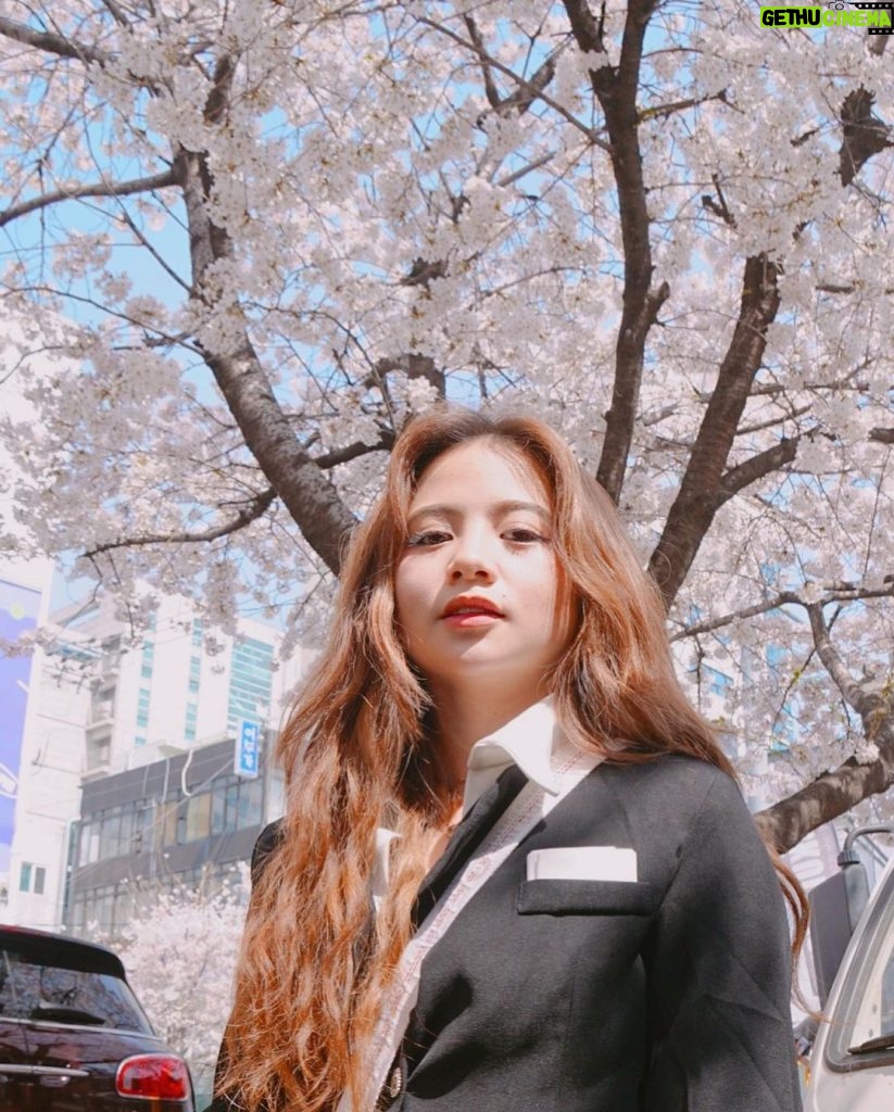 Ella Cruz Instagram - 🌸 벚꽃 🤍 new vlog on my new YT ✨ #cherryblossoms Seoul, Korea